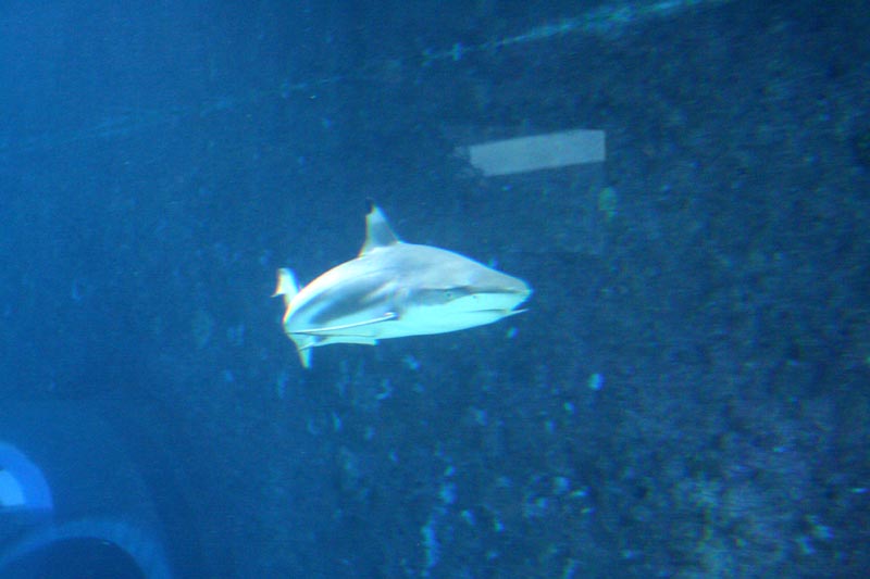 Killikus® Fotographie Killikus® Fotographie